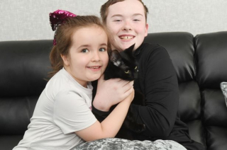 Illustration de l'article : L'inconsolable famille d'un chat en fugue depuis 3 mois compte sur le pouvoir des réseaux sociaux pour le retrouver