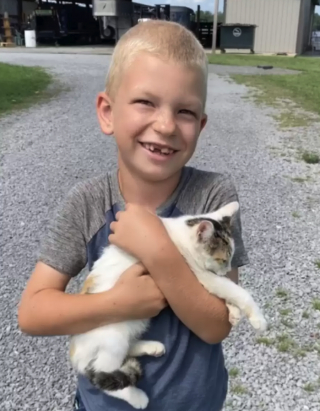 Illustration de l'article : Deux enfants tombent nez à nez avec un chaton caché dans un tas de bois de leur cour