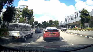 Illustration de l'article : Toute la circulation a été mise en pause sur une route, le temps de sauver un chaton en grand danger