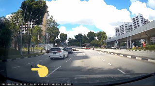 Illustration de l'article : Toute la circulation a été mise en pause sur une route, le temps de sauver un chaton en grand danger