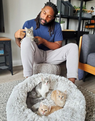 Illustration de l'article : Bambi, le chat qui a transformé Abdul en défenseur passionné des animaux abandonnés