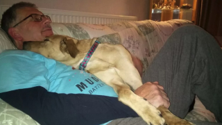 Illustration de l'article : Après avoir sauvé plus de 500 chiens handicapés, cette femme souhaite ouvrir un centre de réadaptation et d’adoption