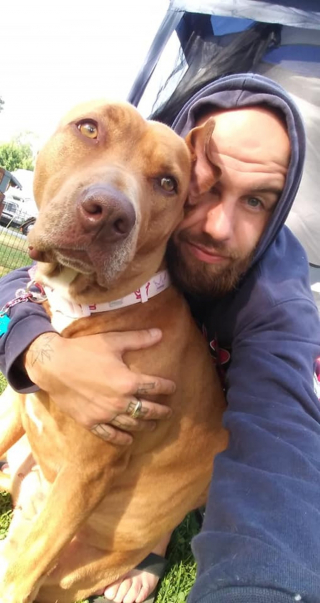 Illustration de l'article : Les internautes se mobilisent pour réunir un maître avec sa chienne d’assistance, qui a été volée dans une station-service