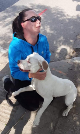 Illustration de l'article : Une chienne errante blessée par un porc-épic mobilise la communauté à 2 reprises pour la sauver