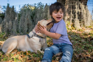 Illustration de l'article : "Ne sous-estimez pas le pouvoir de l'amour" : un enfant aveugle et autiste retrouve le sourire grâce à son ami chien
