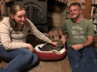 Illustration de l'article : Introuvable pendant 16 ans, Ritz le chat réapparaît subitement pour finir sa vie auprès de sa famille