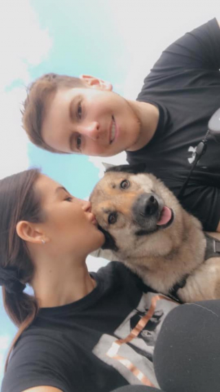 Illustration de l'article : Un homme réalise 2800 km à vélo pour honorer la mémoire de sa chienne et soutenir une association