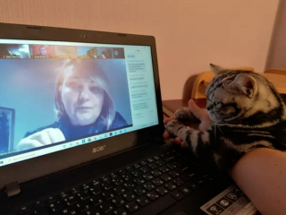 Illustration de l'article : 17 photos montrant que tenir une visioconférence en présence d'un chat est un énorme défi
