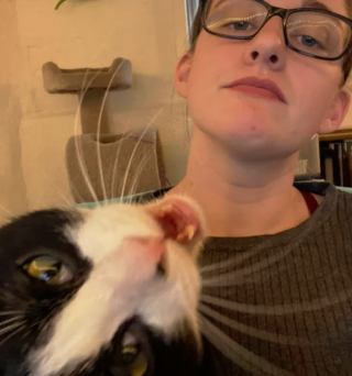 Illustration de l'article : 17 photos montrant que tenir une visioconférence en présence d'un chat est un énorme défi