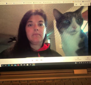 Illustration de l'article : 17 photos montrant que tenir une visioconférence en présence d'un chat est un énorme défi