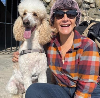 Illustration de l'article : La baignade d'une chienne tourne mal, nageurs et pompiers tentent de la rattraper avant qu'il ne soit trop tard