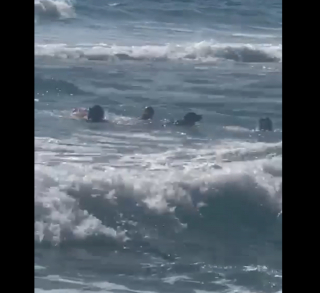 Illustration de l'article : Un binôme compétent de secouristes canins vole au secours d’une adolescente piégée par les vagues