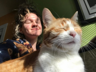 Illustration de l'article : 9 mois après avoir fait incinérer son chat, cette jeune femme apprend qu’il est toujours en vie !