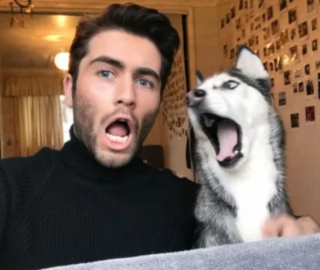 Illustration de l'article : 11 photos montrant à quel point nous pouvons ressembler à nos amis canidés