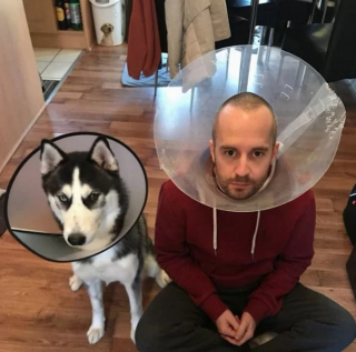 Illustration de l'article : 11 photos montrant à quel point nous pouvons ressembler à nos amis canidés