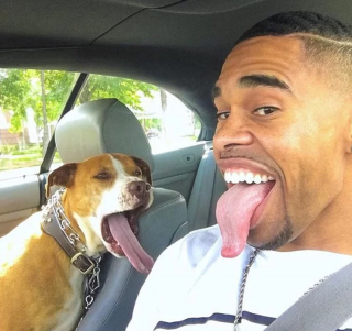 Illustration de l'article : 11 photos montrant à quel point nous pouvons ressembler à nos amis canidés