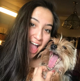 Illustration de l'article : 11 photos montrant à quel point nous pouvons ressembler à nos amis canidés