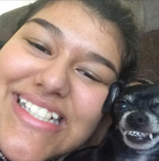 Illustration de l'article : 11 photos montrant à quel point nous pouvons ressembler à nos amis canidés