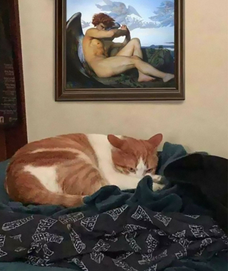 Illustration de l'article : 20 photos hilarantes de chats qui ne prennent même plus la peine de cacher leurs plans machiavéliques