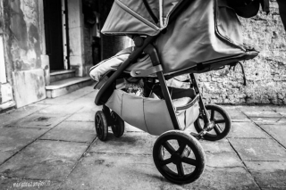 Illustration de l'article : 20 photos de chats cachés dans les ruelles pittoresques de Venise