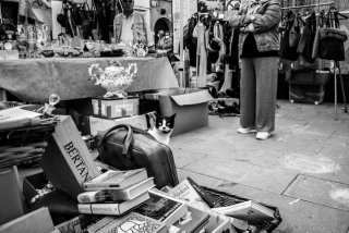 Illustration de l'article : 20 photos de chats cachés dans les ruelles pittoresques de Venise