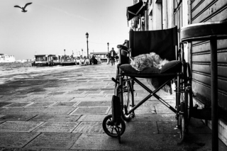 Illustration de l'article : 20 photos de chats cachés dans les ruelles pittoresques de Venise