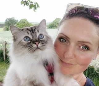 Illustration de l'article : Censé être un chat d'intérieur, ce Ragdoll est devenu un féru de randonnée aux côtés de sa maîtresse