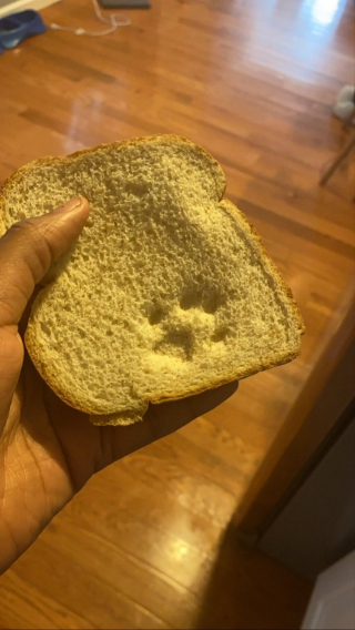 Illustration de l'article : 20 photos déroutantes de chats qui ont eu un petit bug du cerveau