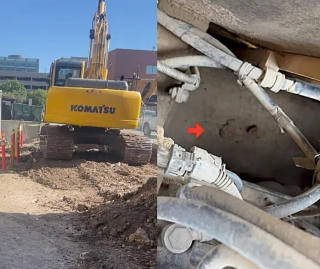 Illustration de l'article : Découvert dans le moteur d’un engin de chantier, un chaton nouveau-né qui paraissait condamné déjoue tous les pronostics