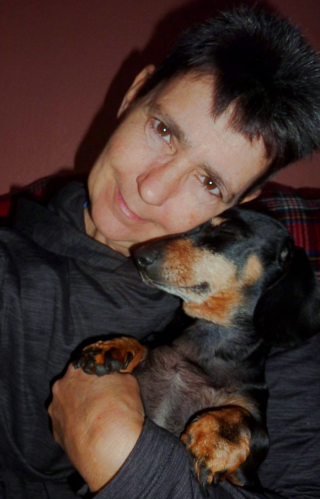 Illustration de l'article : Un Teckel a failli perdre la vie à cause de son obésité, mais une bienfaitrice s’est chargée de le sauver