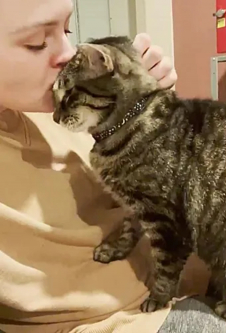 Illustration de l'article : Triste d'avoir été délogée des bureaux où elle vivait, une chatte connaît un nouveau départ grâce à une association