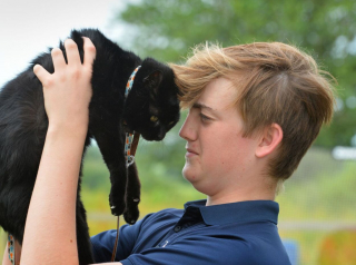 Illustration de l'article : Un adolescent a recherché son chat disparu pendant 6 ans, jusqu’à ce qu’il retrouve sa trace sur Facebook