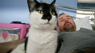 Illustration de l'article : Un homme, qui n’appréciait pas particulièrement les chats, va parcourir un trek pour aider un refuge