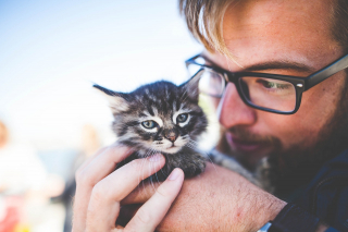 Illustration de l'article : 10 indices prouvant que votre chat tient à vous