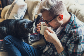 Illustration de l'article : 10 indices prouvant que votre chat tient à vous