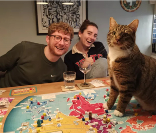 Illustration de l'article : 17 chats vous expliquant que vous ne pouvez jouer que selon leurs règles