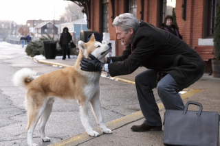 Illustration de l'article : 10 films de chiens dont le récit est bouleversant