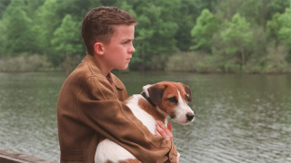 Illustration de l'article : 10 films de chiens dont le récit est bouleversant