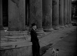 Illustration de l'article : 10 films de chiens dont le récit est bouleversant