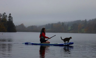 Illustration de l'article : A la rencontre de Bongo, chat vadrouilleur qui enchaîne randonnées et virées en kayak