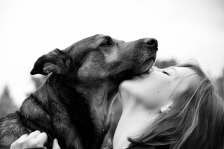 Illustration de l'article : 10 bienfaits liés au fait de vivre avec un chien