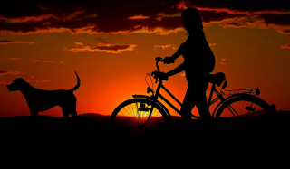 Illustration de l'article : 10 bienfaits liés au fait de vivre avec un chien