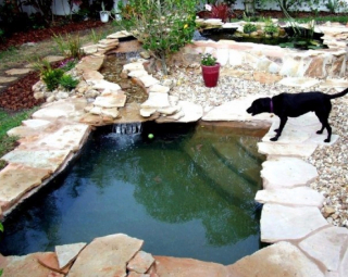 Illustration de l'article : 20 id&eacute;es d'am&eacute;nagements ext&eacute;rieurs pour rendre le quotidien de nos animaux encore plus agr&eacute;able