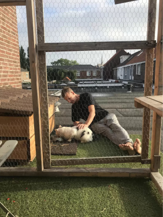 Illustration de l'article : Un chat errant se voit offrir un abri douillet, puis ses bienfaiteurs décident d'en faire plus pour lui