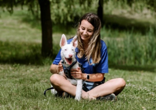 Illustration de l'article : Faire adopter ce chien sourd semblait impossible, mais sa mère d’accueil lui a appris la langue des signes pour l’y aider