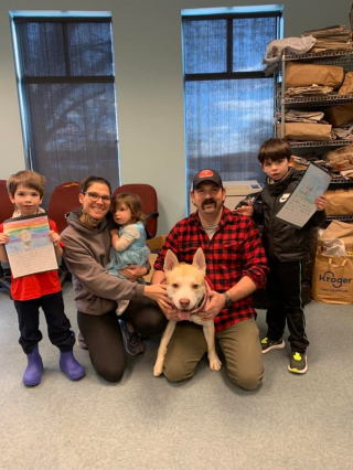 Illustration de l'article : Des élèves se mettent dans la peau d'animaux abandonnés pour écrire des lettres et favoriser leur adoption