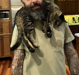 Illustration de l'article : 20 photos de chats incitant autant à les adorer qu'à se demander ce qui ne tourne pas rond chez eux