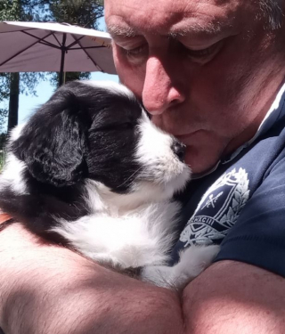 Illustration de l'article : Un homme souffrant de dépression sort la tête de l’eau grâce à l’amour de son chien