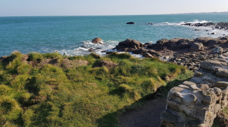 Illustration de l'article : Émeline et son Berger Belge Malinois ont retrouvé un homme coincé dans les rochers
