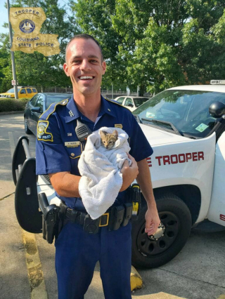 Illustration de l'article : Des policiers portent secours à un chaton bloqué sur un pont et blessé, l'un d'eux en tombe amoureux